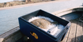 Friday Fish Box