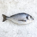 Whole Sea Bream