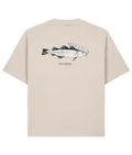 DTG - Back